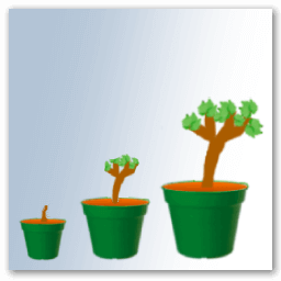 Fecha de plantación de la vid en maceta
