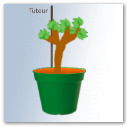 Tutor para una vid en maceta