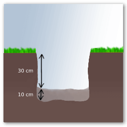 Plantar una vid en la tierra