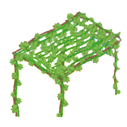 Poda de una parra en una terraza